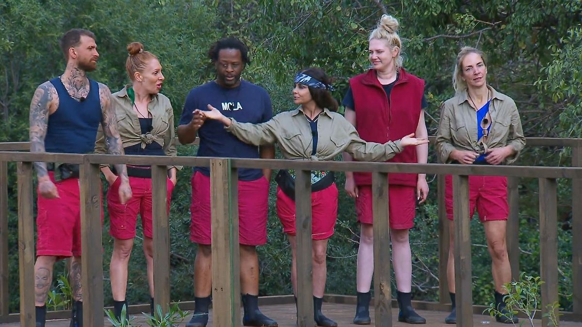 Dschungelcamp: Verweigert! Diese Legende will in Kult-Dschungelprüfung ...